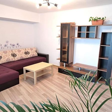 Apartament Titulescu/Banu Manta Appartamento Bucarest Esterno foto