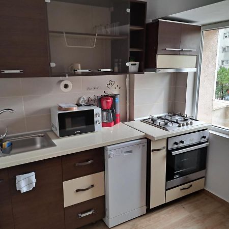 Apartament Titulescu/Banu Manta Appartamento Bucarest Esterno foto
