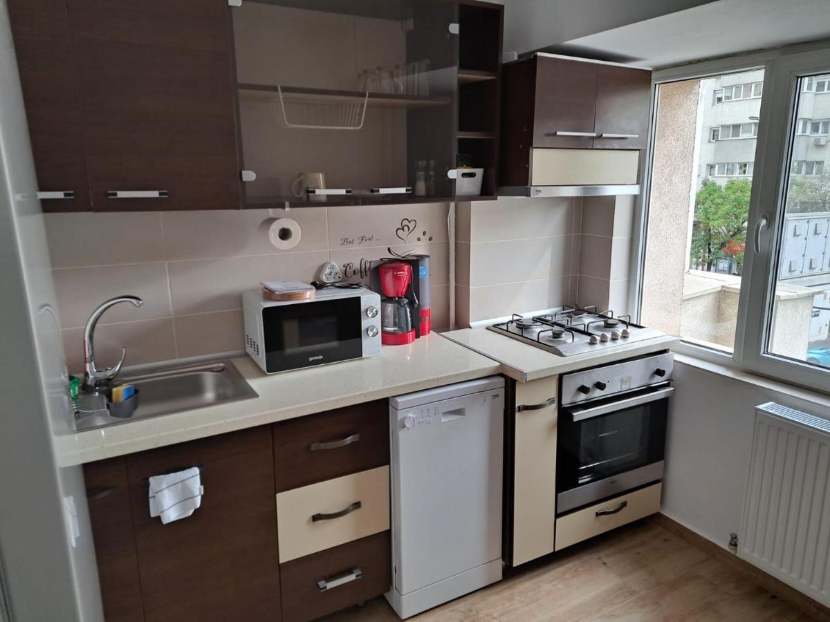 Apartament Titulescu/Banu Manta Appartamento Bucarest Esterno foto